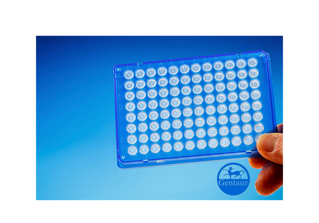 ELISA   ACSL5 anti-