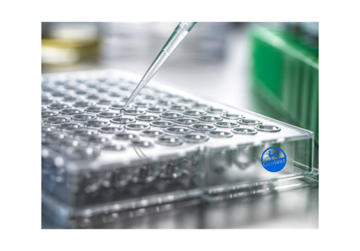[DF13370] ELISA  Activin Receptor Type IA anti-