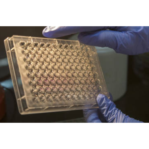 [CSB-PA438371] ELISA  AD7C-NTP anti-